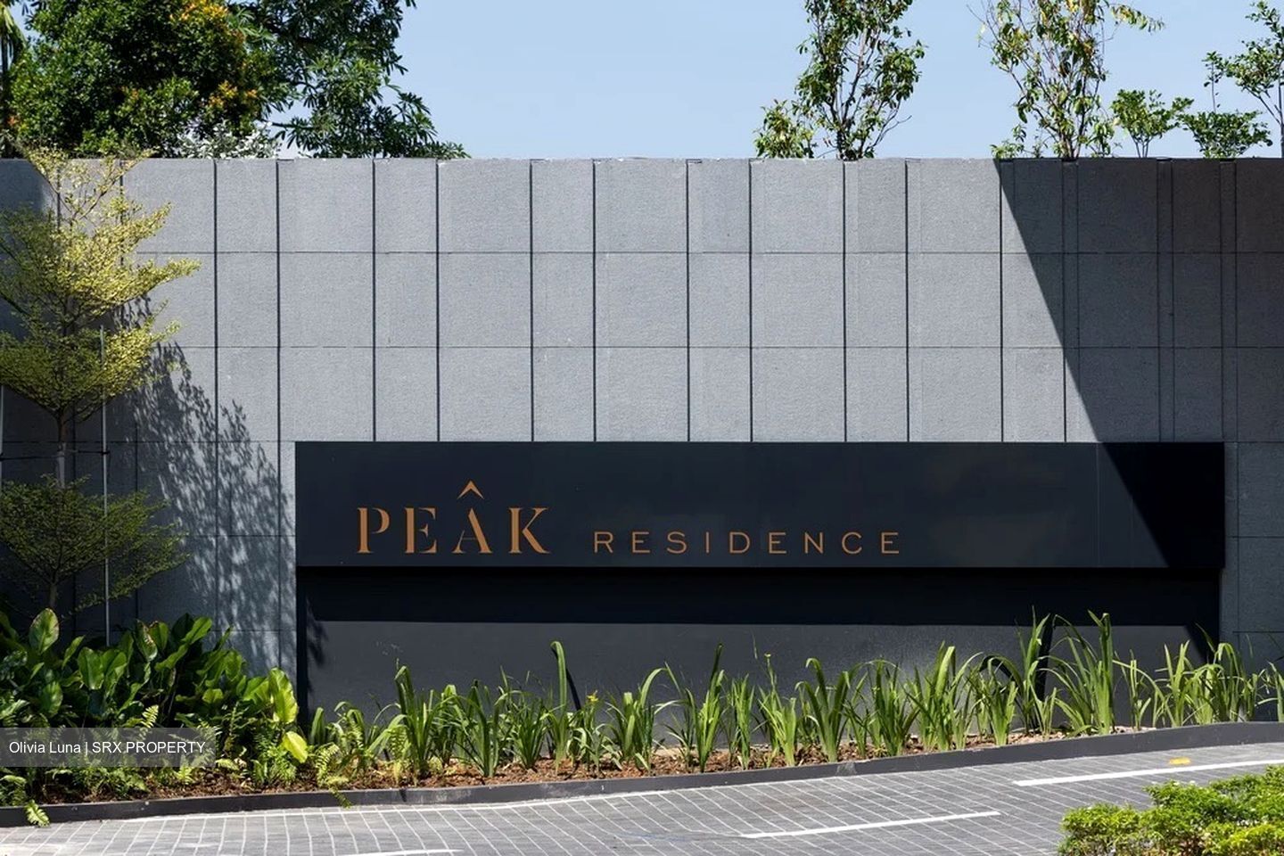 Peak Residence (D11), Condominium #529395461